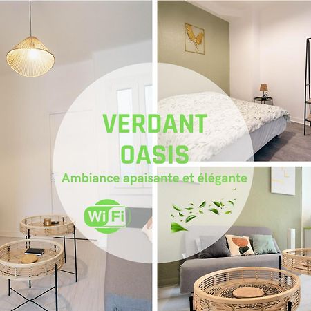 Verdant Oasis - Proche Du Centre - Wifi Gratuit - Parking A Proximite Lourdes Esterno foto